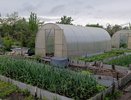 Перестала поливать сорняки — 1 секунда и их нет: жаль, что раньше не знала о таких помощниках