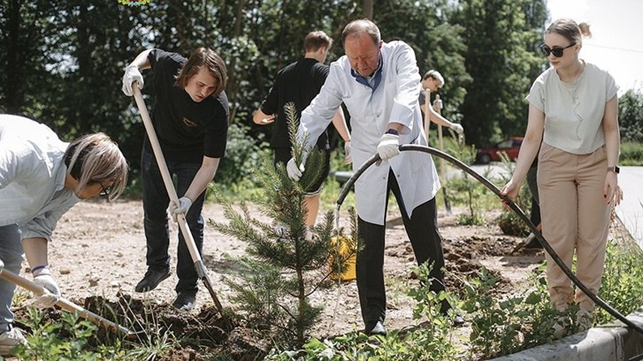Главная картинка новости: Во Владимире у больницы №5 появилась Аллея молодых докторов