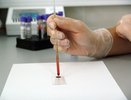 Какая группа крови оказалась самым главным признаком дворянского происхождения?