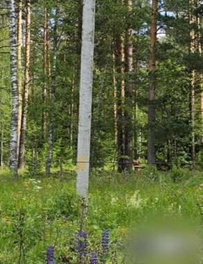 Гибель ребёнка в Ковровском районе стала поводом для уголовного расследования