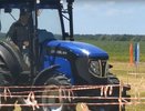 В Меленковском округе показали новый владимирский трактор на «Дне поля»-2025