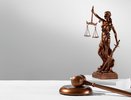 Во Владимире 70-летнего новосибирца отправят под суд за нападение на полицейского