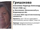 В Меленковском районе ищут пропавшую в лесу 76-летнюю женщину в розовом халате