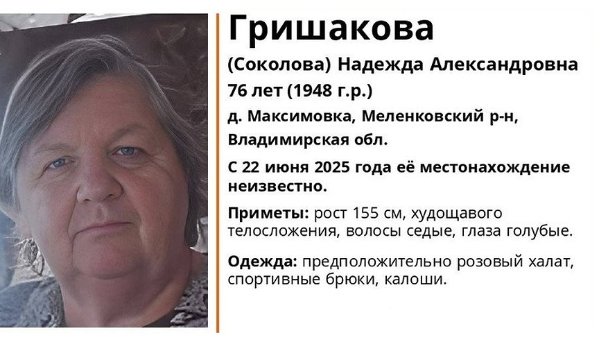 Главная картинка новости: В Меленковском районе ищут пропавшую в лесу 76-летнюю женщину в розовом халате