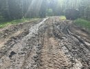 В Юрьев-Польском районе арендатора леса обязали восстановить повреждённую дорогу
