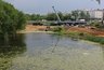 Миниатюра новости: Пустырь за ДДЮТ во Владимире преобразуют в новый городской парк