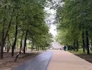 На бульваре Иванова во Владимире появится детская площадка и памятник художнику