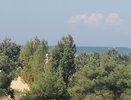 Купаться невозможно, люди отдыхают на берегу: Черное море преподнесло ужасный сюрприз отдыхающим