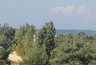 Миниатюра новости: Купаться невозможно, люди отдыхают на берегу: Черное море преподнесло ужасный сюрприз отдыхающим