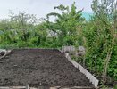 Покупать дорого, а своё производство позволит сэкономить кучу денег — источники мульчи: откуда взять ценный материал для своей дачи