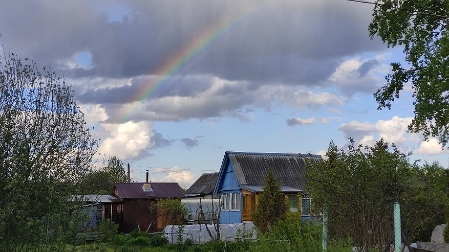 Главная картинка новости: Три дерева, которые запрещено сажать у дома: энергетические последствия и народные поверья