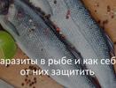 В региональном Роспотребнадзоре сообщили: рыбу нужно есть регулярно, но выбирать очень внимательно