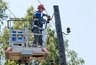 Миниатюра новости: Обновление электросетей в 230 населенных пунктах Владимирской области: что успели сделать