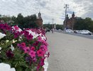 Такого июля уже как лет 100 не было: Вильфанд сообщил о крайне аномальной погоде
