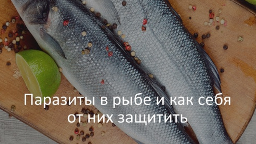 Главная картинка новости: В региональном Роспотребнадзоре сообщили: рыбу нужно есть регулярно, но выбирать очень внимательно