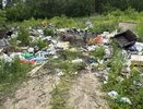 В Муроме на четырёх улицах обнаружены незаконные свалки