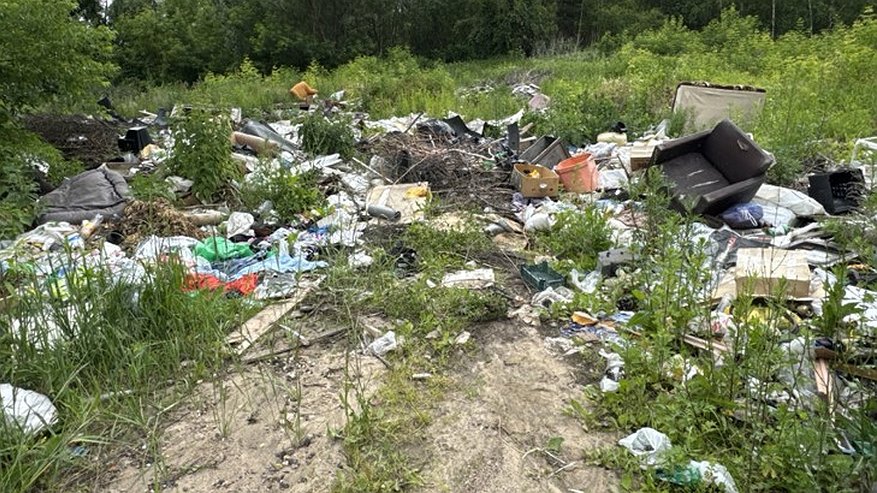 Главная картинка новости: В Муроме на четырёх улицах обнаружены незаконные свалки