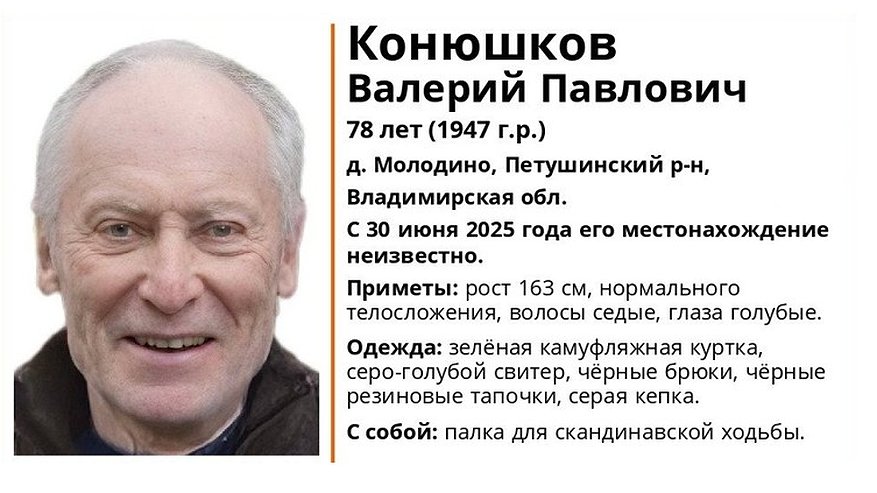 Главная картинка новости: В регионе разыскивают пропавшего 78-летнего мужчину в камуфляжной куртке