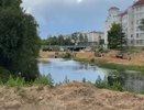 Владимирские экологи спасают растения и рыбу перед благоустройством парка у ДЮТ