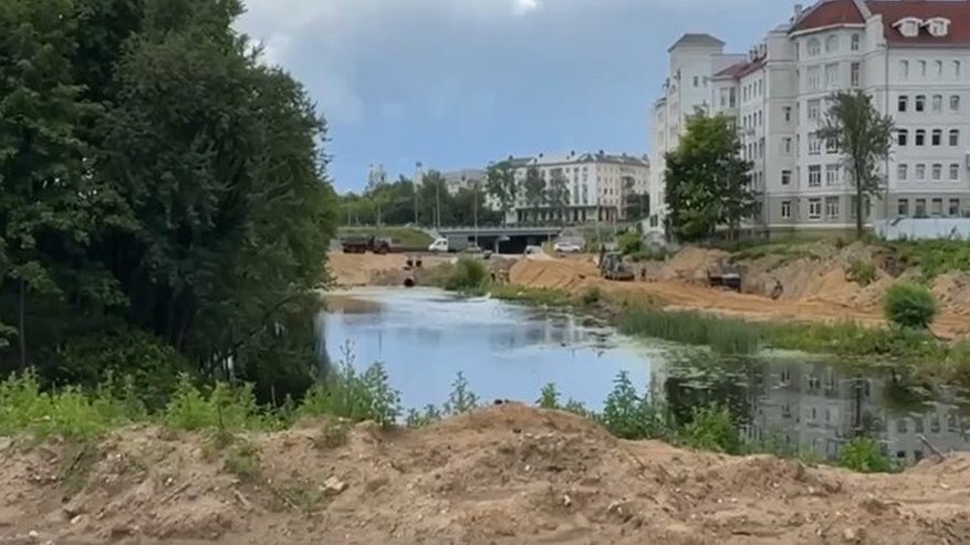 Главная картинка новости: Владимирские экологи спасают растения и рыбу перед благоустройством парка у ДЮТ