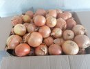 Луковица огромная — с два кулака: чем подкармливать лук в июле, чтобы он отблагодарил богатым урожаем