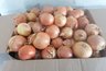 Миниатюра новости: Луковица огромная — с два кулака: чем подкармливать лук в июле, чтобы он отблагодарил богатым урожаем
