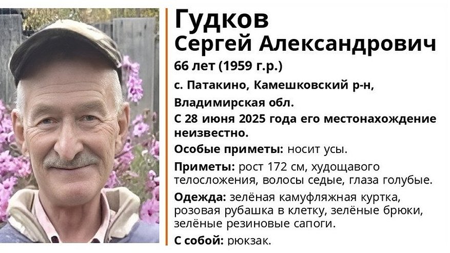 Главная картинка новости: В Камешковском районе ищут 66-летнего мужчину в розовая клетчатая рубашке