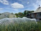 Разбрасываю в саду это «лакомство» для слизней: избавляюсь от моллюсков без вреда для растений — урожай надежно защищен
