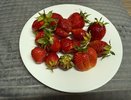 Больше ледяной каши не будет: как замораживают клубнику опытные хозяйки, чтобы зимой у нее не было привкуса морозилки