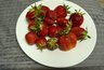 Миниатюра новости: Больше ледяной каши не будет: как замораживают клубнику опытные хозяйки, чтобы зимой у нее не было привкуса морозилки