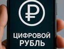 Во Владимире только 8% жителей согласны получать зарплату в цифровых рублях