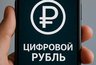 Миниатюра новости: Во Владимире только 8% жителей согласны получать зарплату в цифровых рублях