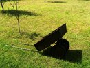 Кожура – и никакая химия не нужна: как картофельные очистки творят волшебство на грядках