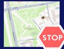 Во Владимире на день закроют сквер «Патриот» в связи с обработкой от клещей