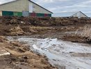 На ферму в Юрьев-Польском районе завели дело по факту массовой гибели рыбы в реке Бакава