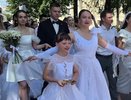 Во Владимире девять пар поженились в День семьи, любви и верности