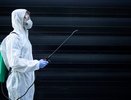 Верхний Красносельский пруд во Владимире обработают от грызунов