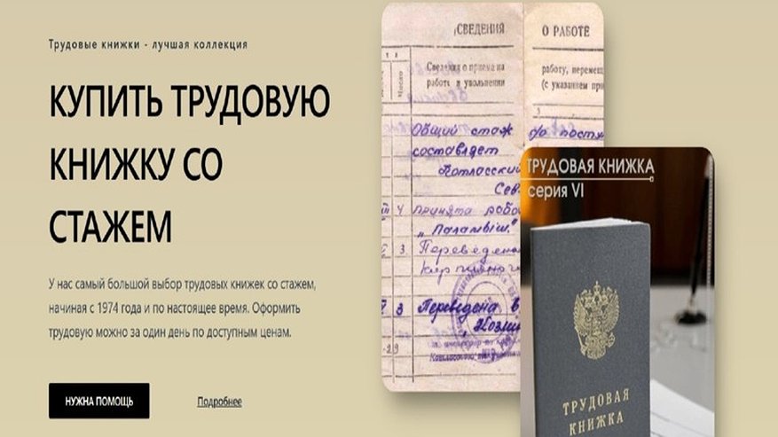 Главная картинка новости: В Киржаче прокуратура добивается блокировки сайтов с поддельными трудовыми книжками