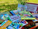 Во Владимире открылся читальный зал под открытым небом «Книжное лето»