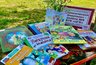 Миниатюра новости: Во Владимире открылся читальный зал под открытым небом «Книжное лето»
