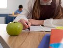 В школах региона установят новые правила для контрольных и практических работ