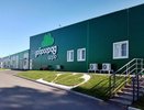 Владимирский агропроект заменит импорт луковиц тюльпанов из Европы