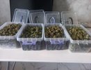 В квартире 32-летнего владимирца нашли запрещенные вещества