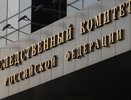 Бастрыкин поручил доложить о проверке нарушений прав многодетной семьи в Меленках