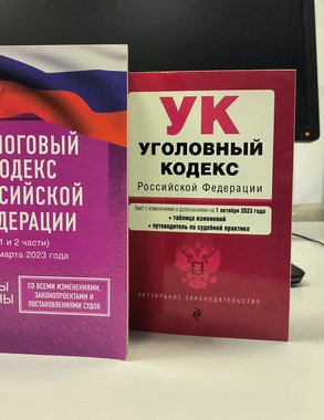 В Муроме раскрыто дело об уклонении от уплаты налогов на 2 миллиарда