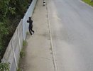 В Коврове подросток среди бела дня порвал баннер на улице Октябрьской