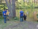 Во Владимирской области с начала купального сезона на воде погибли 11 человек