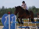 В Собинском районе пройдёт «Кубок Золотого кольца» по конному спорту