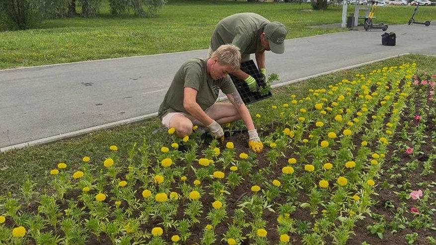 Главная картинка новости: Во Владимире на улице Мира появятся 16 новых клумб на участке в 2 километра