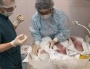 Во Владимирском перинатальном центре родились первые тройняшки в этом году